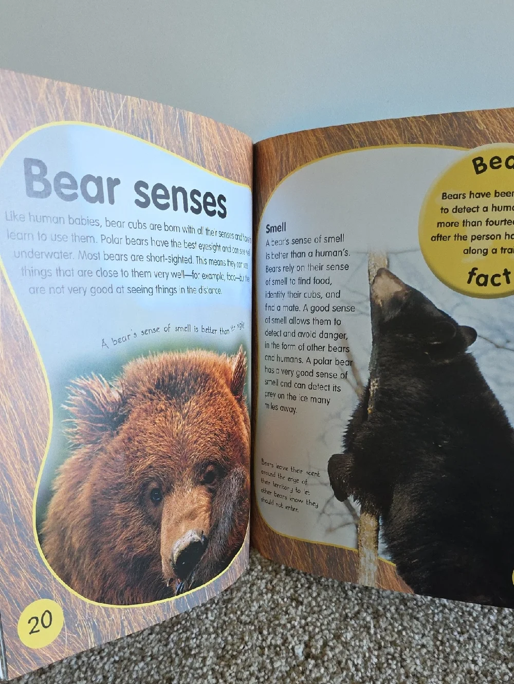 Children's Animal Book Set Dangerous Animals, Elephants, Bears, Giraffes, Rhinos